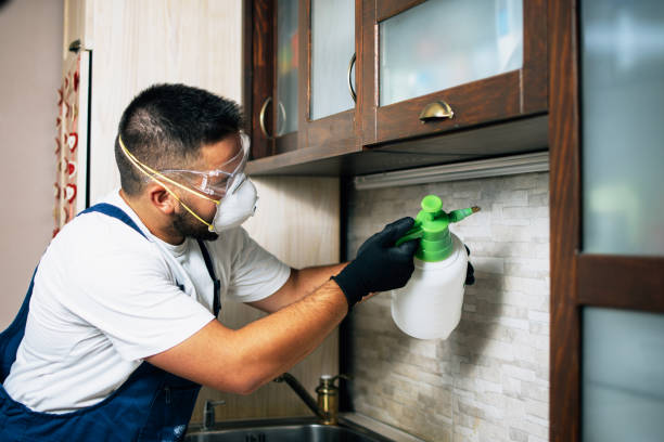 Best Emergency Pest Control  in La Paloma, TX