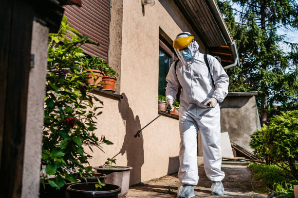 Insect Control in La Paloma, TX