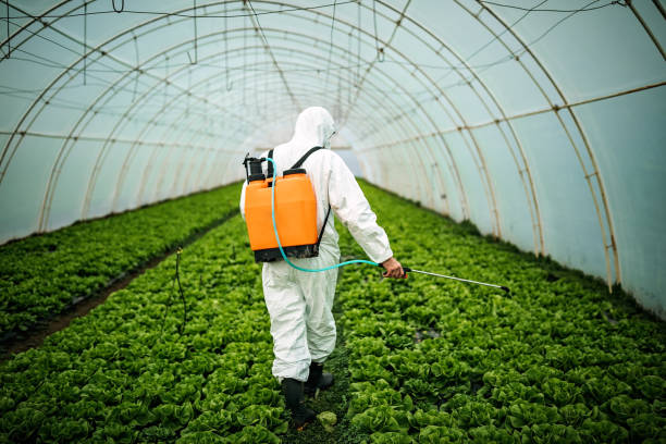 Best Pest Prevention Services  in La Paloma, TX