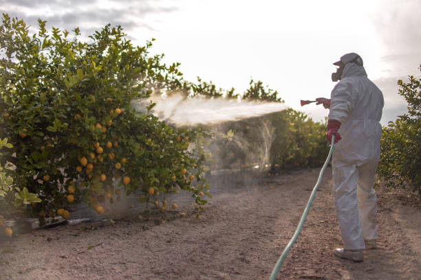 Best Pest Inspection Near Me  in La Paloma, TX