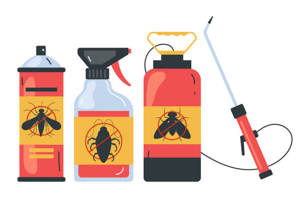 Reliable La Paloma, TX Pest Control Solutions