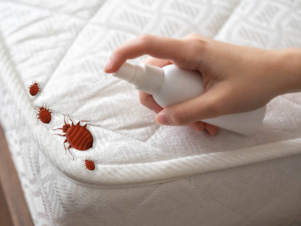 Best Affordable Pest Control Services  in La Paloma, TX