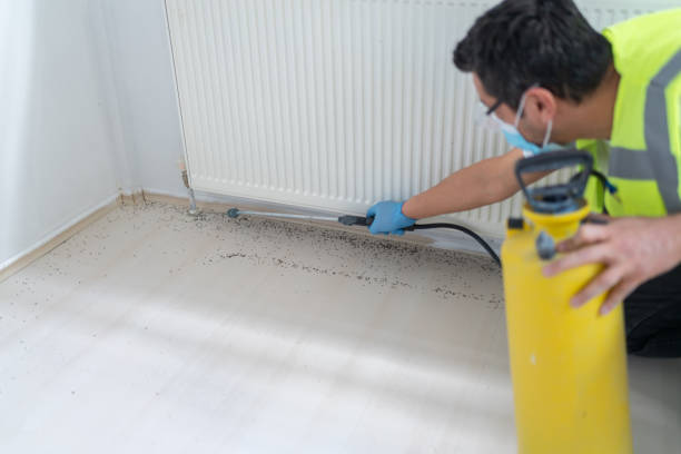 Best Affordable Pest Control Services  in La Paloma, TX