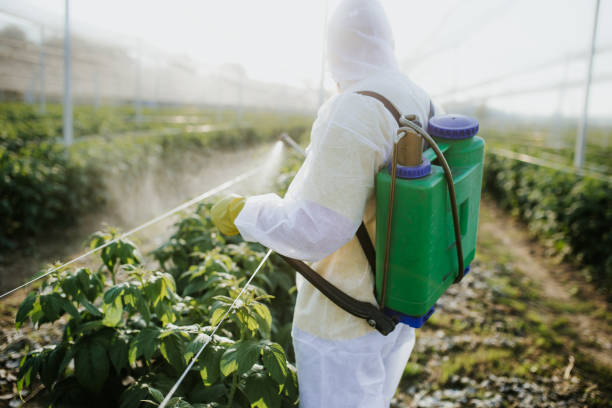 Best Pest Control Near Me  in La Paloma, TX